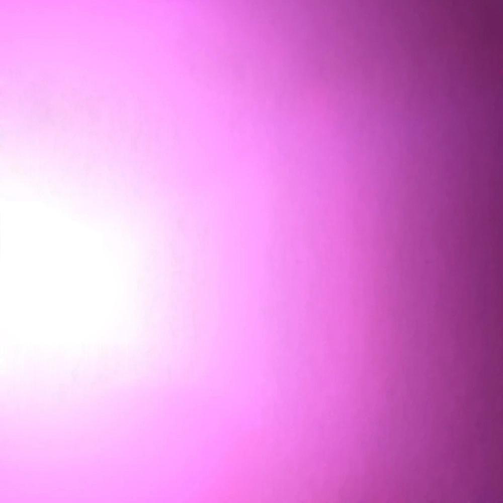 T10 W5W Led Canbus No Error Car Interior Side Light 5W5 12V 5W Auto License Plate Lamp Bulb Dome Read Light White Blue Red Amber