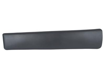 Renault Trafic II 01-13 Front Left Door Trim Strip