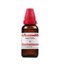 @ Dr Willmar Agnus Castus Q Homeopathic Medicine 30ML Zr-2672-60%Off