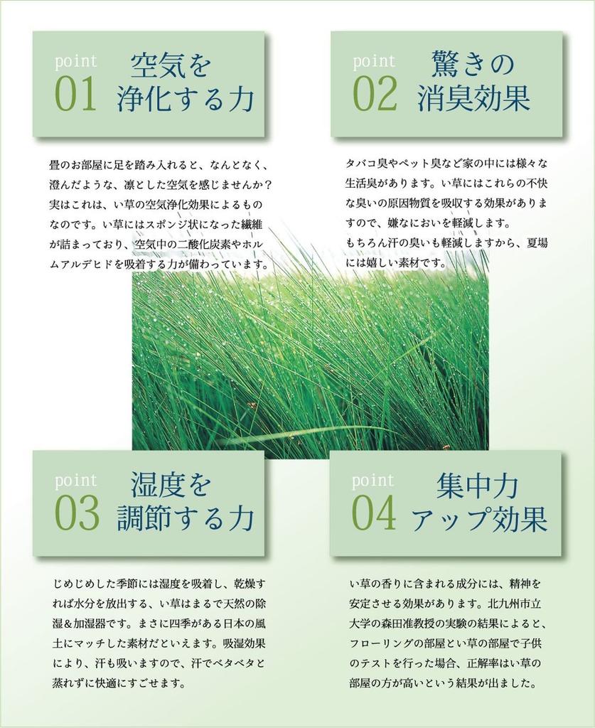 IKEHIKO Rush Grass Rug/Carpet, DX Kumiko Pattern, Approx. 95 X 150cm, Gray, Made In Japan, Non-Woven Backing #1715350