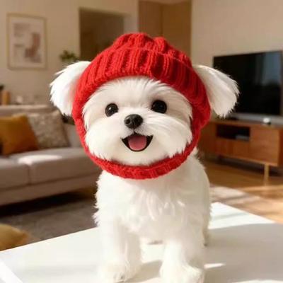 Maltese Dog Beanie Hat, Cozy Soft Knit with Ear Flaps Cute Playful Dog Fashionable Red Winter Dog Hat Dog Beanie Hat Headwear