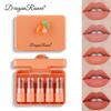 Five Lipstick Set Matte Whitening Complexion Waterproof Lipstick Velvet Matte Long-Lasting Makeup Effect Lip Gloss Non-Stick Cup Non-Fading Lipstick