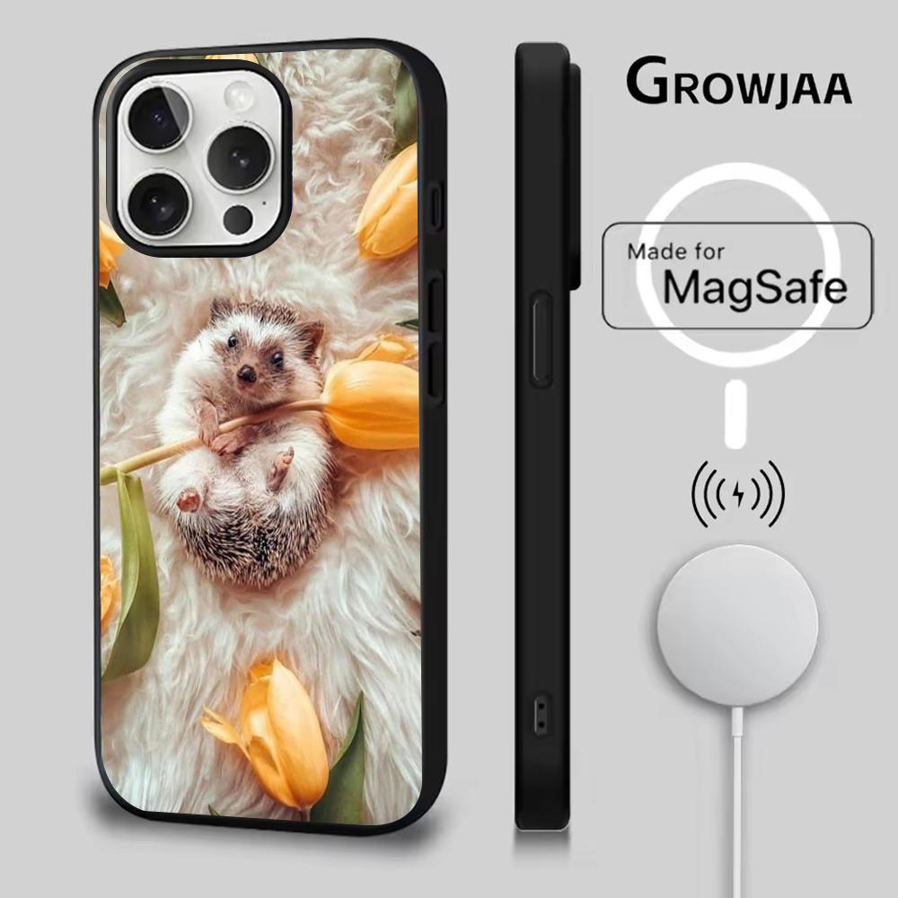 Hedgehog Animal Phone Case For iPhone 16e,16,15,14,13,12,11,Plus,Pro,Max,Mini Magsafe Magnetic Wireless Charging