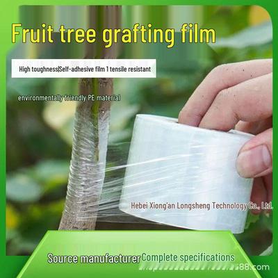 Película Fina Hortícola Autoadhesiva Transparente para Injerto de Árboles Frutales