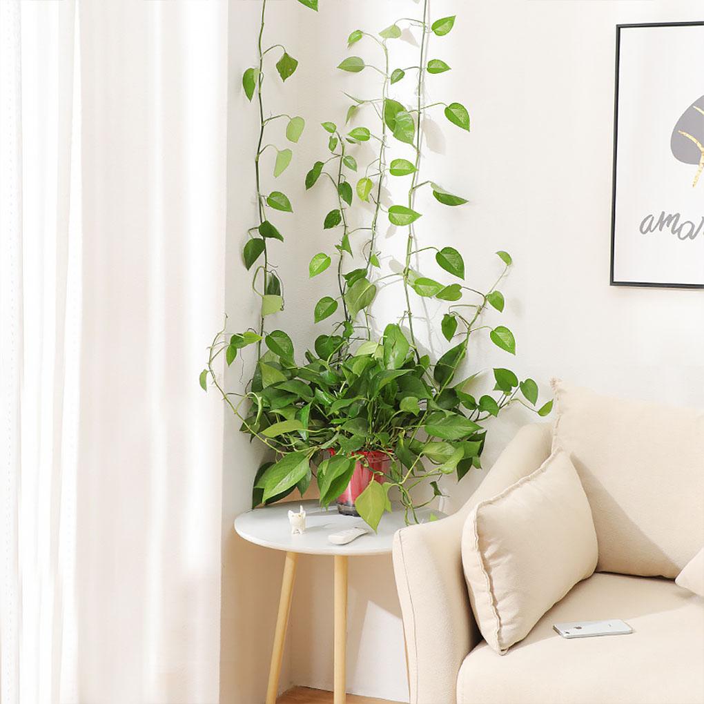10 Pieces Plant Clips Wall-Mounted Self-Adhesive Clamps Indoor Outdoor Office Holder Plants Grow Fixture Household Balcony