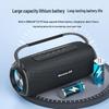 Newsmy N20 Portable Bluetooth Speaker CN plug (adapter included)