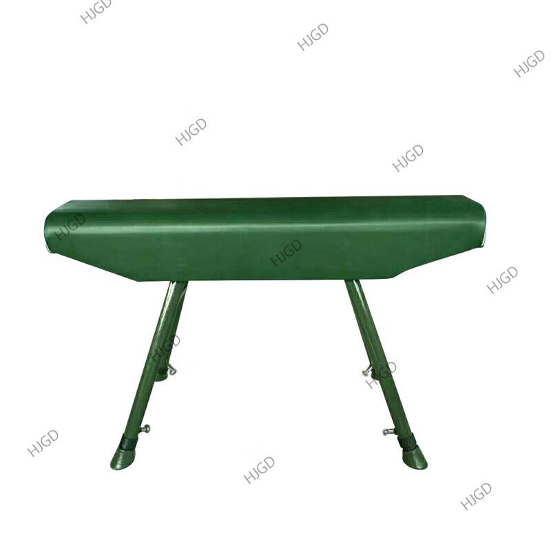 Gymnastics Training Horses