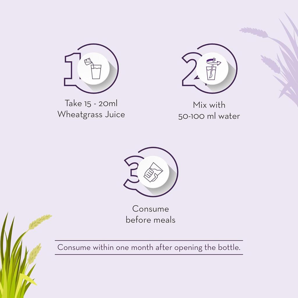 Baidyanath Asli Ayurved Wheatgrass Juice 500ml Natural Superfood Drink Detox Energy Booster