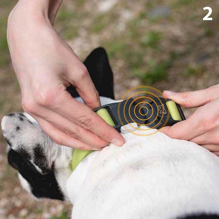 Collier pour chien - FERPLAST - Club Reflex - Réfléchissant - Fermeture magnétique - Réglable 30–44 cm