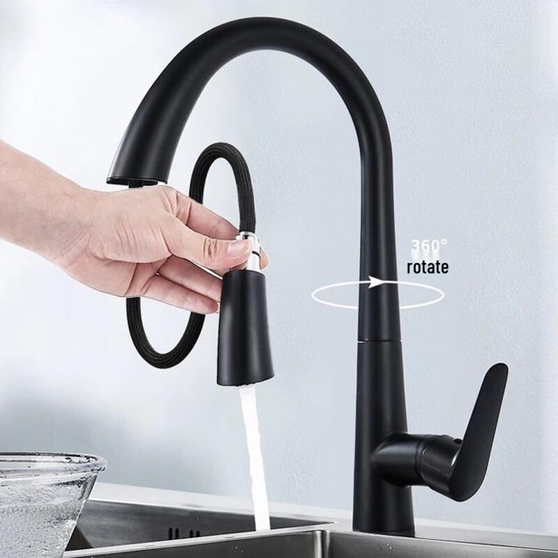 TLXT Copper Pull-Out Kitchen Faucet