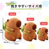 Hyack Capybara Plush Toy, Sewn Wrapped, Body Pillow, Animal Goods (33cm) [Used]
