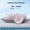 Summer Cool Ice Bean Pillowcase Set - Single 48cmx74cm Pillow Core Liner Cover (Pair)