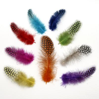 Plumes de faisan de poulet, belle Plume de mouette pour bricolage, décoration artisanale, accessoires de fabrication de bijoux