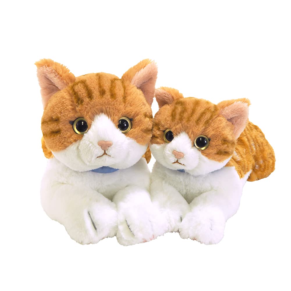 SunLemon Schoßkatze Chashiro Klein 13 x 36 x 15cm Plüschtier Niedliche Katze P-7822