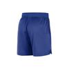 Nike Golden State Warriors Logo Print Breathable Sports Shorts Men Shorts Royal-Blue FB3727-495