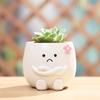 Smiley Face Mini Plant Pot Resin Succulent Planter for Home Office Desk Decorative Ornament Fairy Garden Flowerpot Decoration
