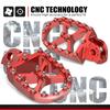 NICECNC For BETA Xtrainer 300 2015-2024 RR 300 RR 250 2013-2019 Foot pegs Footrest RR 125 RR 350 RR 390 RR 430 RR 450 RR 480 498