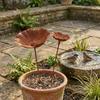 Flower Shape Metal Bird Bath Rusted Vintage Handcrafted Garden Birdbath Iron Art Rust-resistant Flower Garden Stake