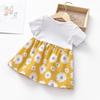 Kids Toddler Round Collar Princess Sundress Summer Casual Baby Girl Dress Newborn Short Sleeve Fake 2 Piece Floral Pattern Dress