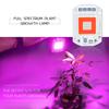 Red + Blue Plant Light Beads 20/30/50W Full Spectrum Plant Growth COB LED Grow Light Chips Greenhouse Tent Growing 110/220V