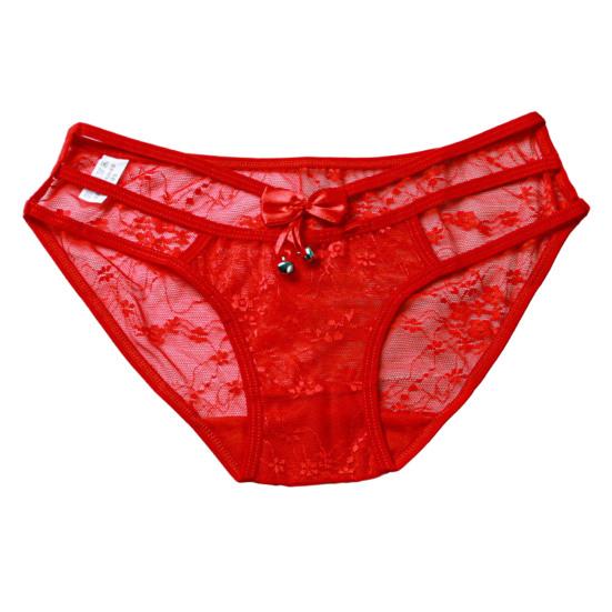 Sexy Embroidery Flower Lace Briefs See-through Solid Color Bowknot Bell Decor