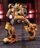 ROBOT TOYS DT-01 Little Bee