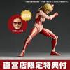 [USED] Revoltech Amazing Yamaguchi Female Titan with Bonus Attack On Titan