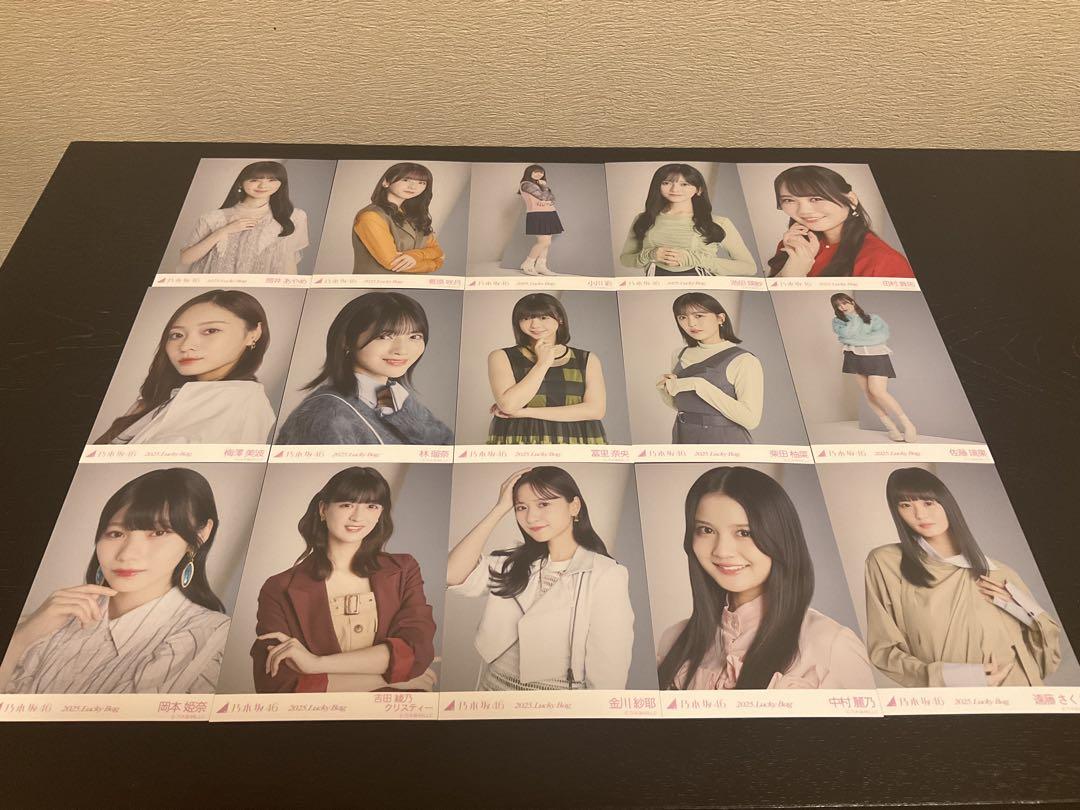 

[USED] Nogizaka46 2025 Lucky Bag Raw Photo Calendar Outfit 15 Piece Set