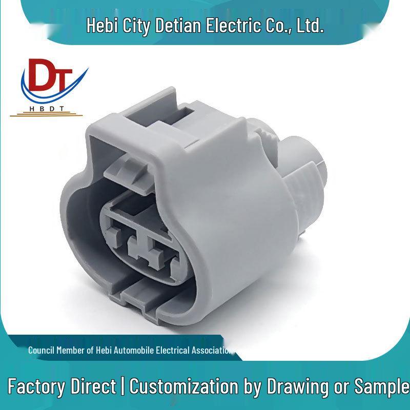 Automotive Wiring Harness Connector Plug DJ7021Y-4.8-21: 2-Pin Hole, Domestic Plastic Sheath