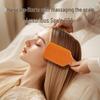 MR.GREEN Deluxe Air Cushion Massage Hairbrush