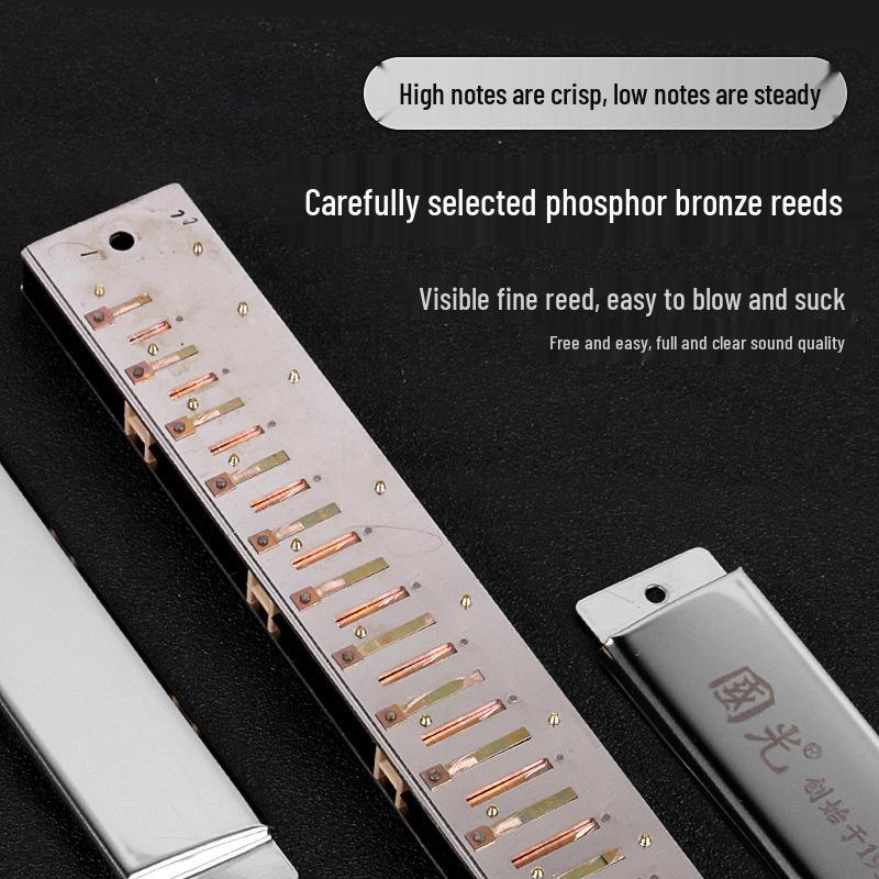 Guoguang 24-hole C Key Tremolo Harmonica for Beginners - Child's Entry-Level Primary School Student Model, High-Grade and Genuine.