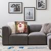 Pet Cat Funny memes Pillow Case  Retro Trendy Pillow Cover Comfy Pillowcases For Sofa Couch Bed Living Room