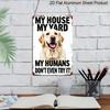 2D Flat, 1pc "My House My Yard My Humans Don't Even Try It" Golden Retriever Aluminum Sign - Funny Dog Warning Wall Decor Front Yard, Fence, Dog