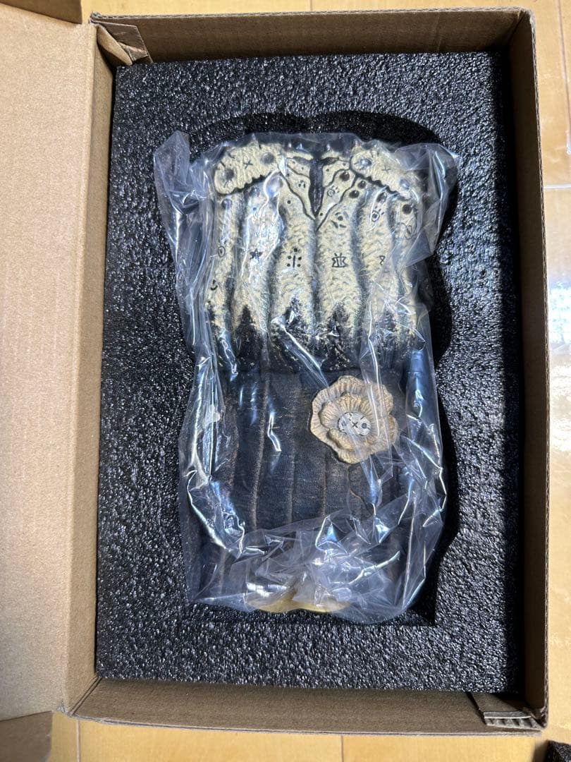 

[Б/У] Luohon Seisho copiapoa twinstar Robin Huang