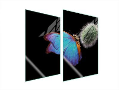 PIANO PARASPRUZZI IN VETRO PER CUCINA 2x35x52 FARFALLA