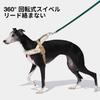 VETRESKA Santal Forest Harness Set Cute Dog Harness and Leash Set with Backpack Reduces Easy Secure Easy to Put On and Take Soft Padded Pet Harness