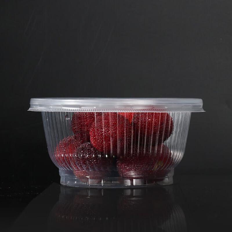 Disposable Food Bowls with Lids
