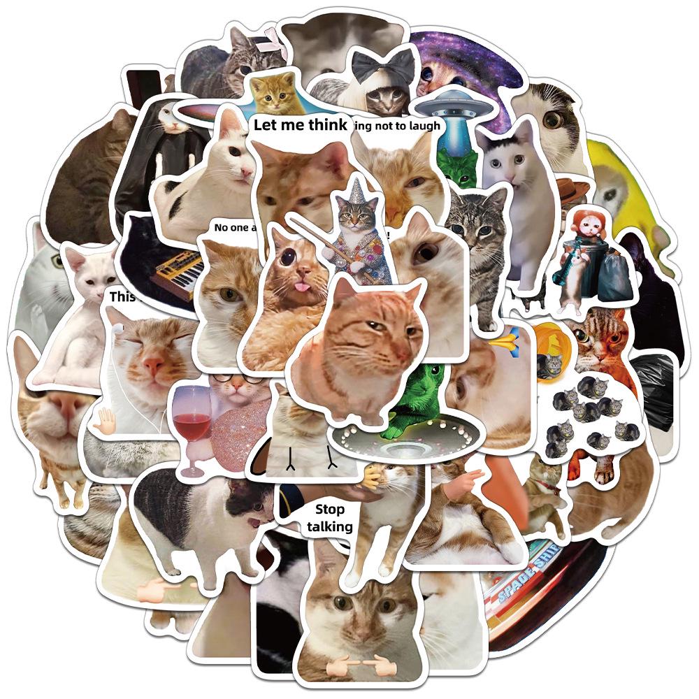

50-Piece Cat Meme Sticker Set for DIY Journals, Water Bottles, and Phone Cases