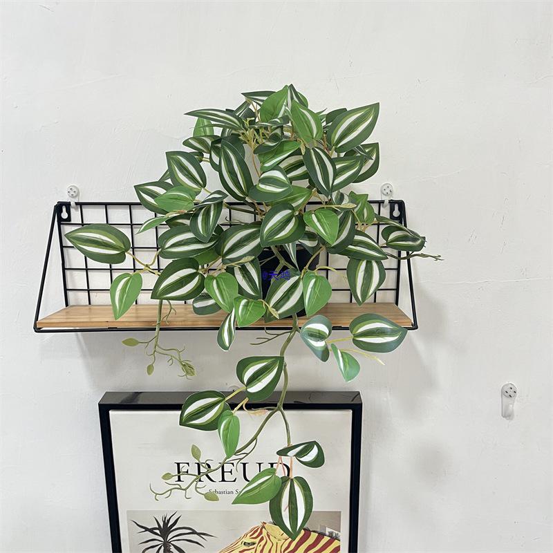 Wandmontierte Monstera-Ranke für die Innendekoration: Hängende Efeutute und laminierte grüne Zweige
