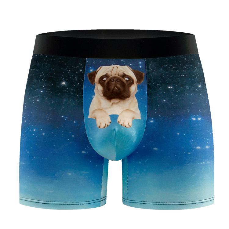 Men's European & American Size 3D Print Long Boxer Briefs