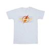 DC Comics Boys The Flash Red Lightning T-Shirt