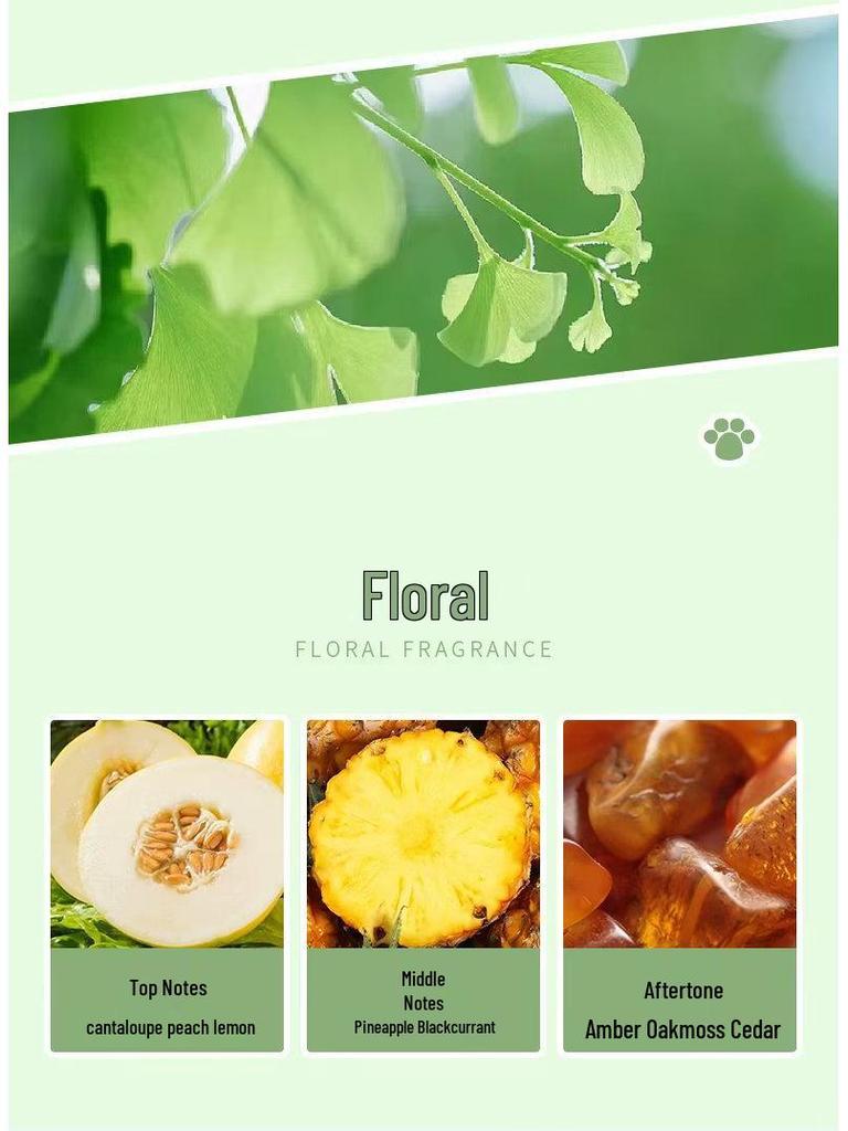 Trendy Sweetheart Era Cute Bear Perfume 25ml: Floral Fruity Lavender Long-Lasting Fragrance