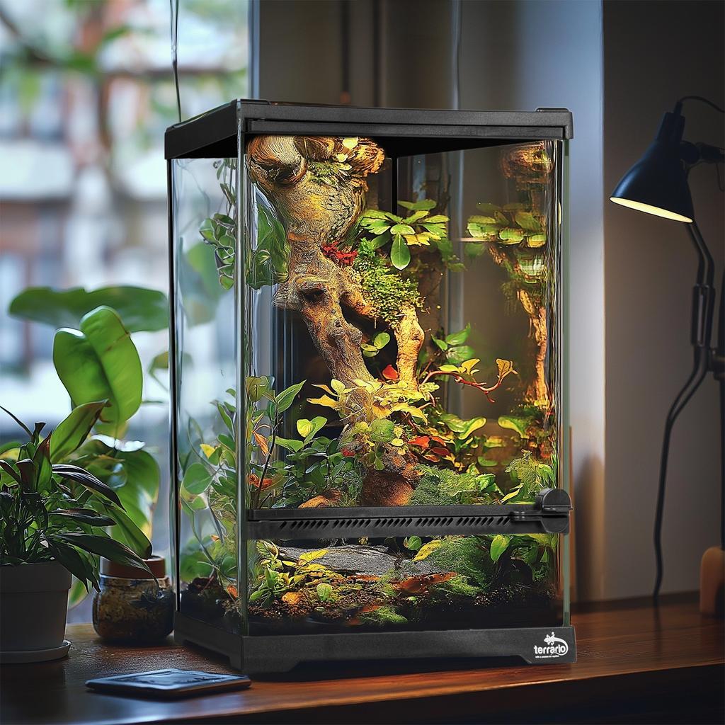 Glass Terrarium 20x20x30cm Waterproof Bottom For Reptiles Amphibians