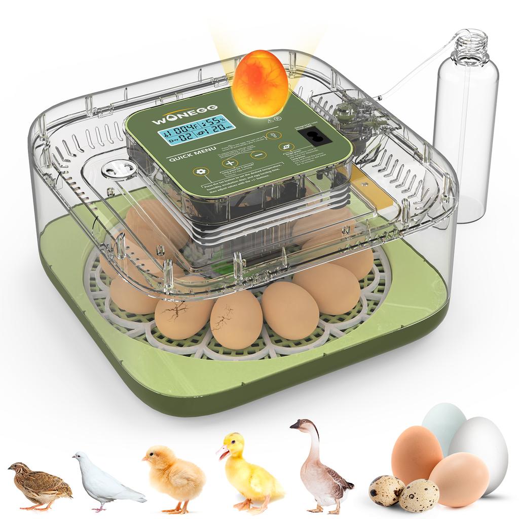 Smart Egg Incubator With Multiple Functions, Capacity for 12 Eggs, Compact, Household, Portable, Fully Automatic