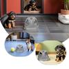 1Set Breathable Mesh Pet Chest Harness Reflective Escape Proof Adjustable Cat Harness Leash Set Training Outdoor Small Dogs Cats