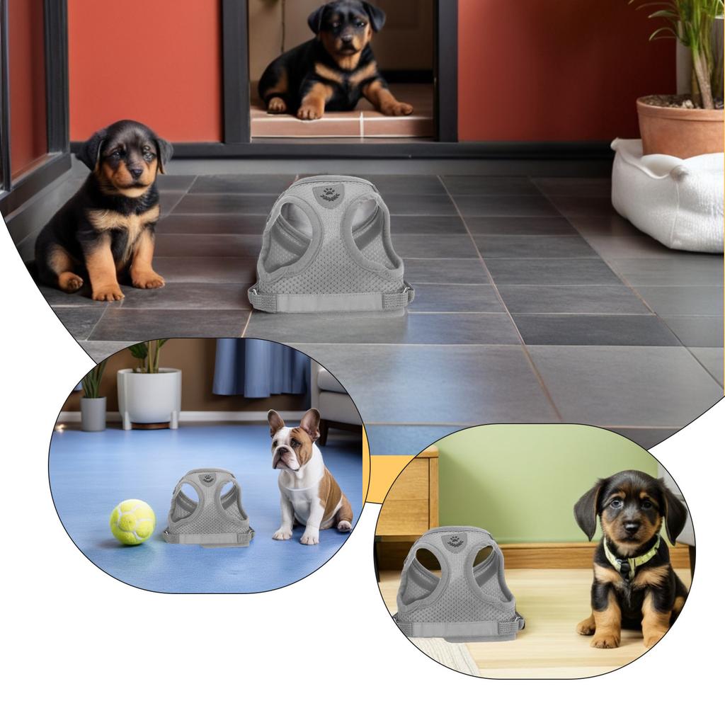 1Set Breathable Mesh Pet Chest Harness Reflective Escape Proof Adjustable Cat Harness Leash Set Training Outdoor Small Dogs Cats