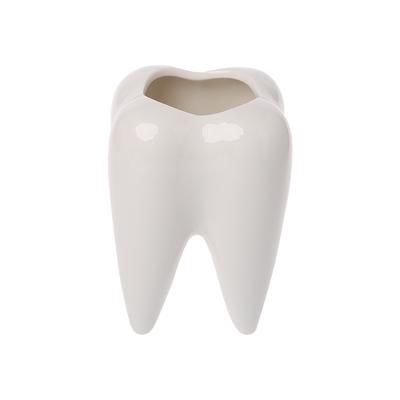 Vaso da Fiori in Ceramica a Forma di Dente Vaso per Piante Grasse Verdi Contenitore per Cactus Decor