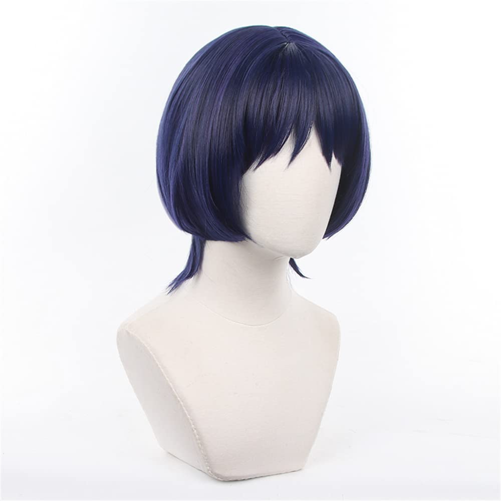 

Genshin Impact Eileen Scaramouche Wanderer Skirmisher Wig, Anime Wig, Disguise Wig for School Festivals [Includes Net]
