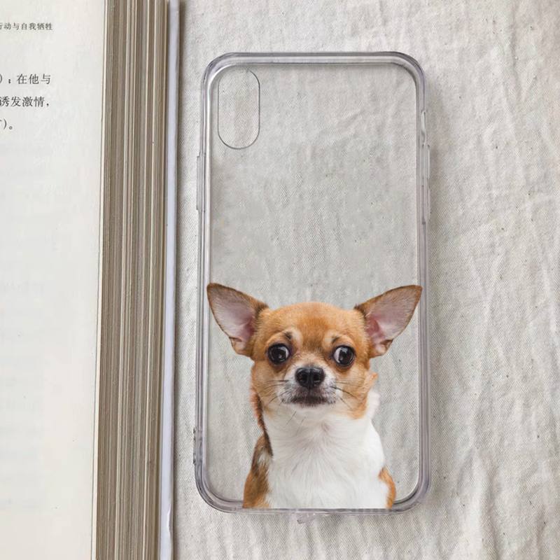 Chihuahua Dog Fashion Phone Case for iPhone 11 12 13 mini pro XS MAX 8 7 6 6S Plus X 5S SE 2020 XR case