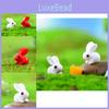 Adorable Resin Red And White Bunny Figurines For Diy Miniature Garden Decorations